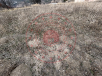 Erzincan Refahiye Akarsu - Akarsu Köyü Milli Emlak'tan Satılık 320,77 m2 Tarla