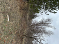 Ankara Çubuk Meşeli Mahallesi Milli Emlak'tan Satılık 304,38 m2 Tarla