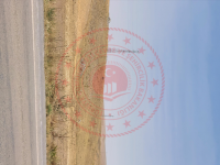 Konya Yunak Böğrüdelik Köyü Milli Emlak'tan Satılık 15.928,97 m2 Tarla