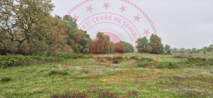 Balıkesir Karesi Davutlar Köyü Milli Emlak'tan Satılık 5.920,65 m2 Tarla