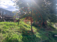 Düzce Merkez Konuralp - Nasırlı Köyü Milli Emlak'tan Satılık 298,36 m2 Tarla