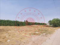 Konya Yunak Odabaşı Köyü Milli Emlak'tan Satılık 668,36 m2 Tarla