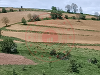 Çorum Mecitözü Kayı Köyü Milli Emlak'tan Satılık 4.596,72 m2 Tarla