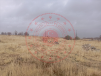 Malatya Akçadağ Ören Milli Emlak'tan Satılık 475,49 m2 Arsa
