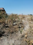 Kütahya Tavşanlı Çardaklı Mahallesi Milli Emlak'tan Satılık 376,76 m2 Tarla