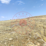 Mardin Midyat Gülgöze Köyü Milli Emlak'tan Satılık 28.050,88 m2 Tarla