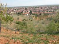 Uşak Sivaslı Yayalar - Merkez Mahallesi Milli Emlak'tan Satılık 5.592,08 m2 Tarla