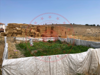 Ankara Polatlı Yıldızlı Köyü Milli Emlak'tan Satılık 219,52 m2 Tarla