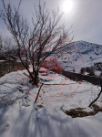 Erzincan İliç Ortatepe Köyü Milli Emlak'tan Satılık 172,26 m2 Tarla