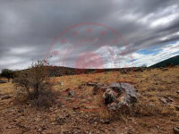 Konya Hüyük Selki Kasabası Milli Emlak'tan Satılık 6.145,96 m2 Tarla