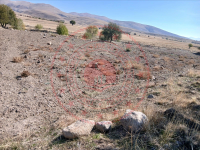 Afyonkarahisar Dinar Yıprak - Bahçelievler Mahallesi Milli Emlak'tan Satılık 1.800,00 m2 Tarla