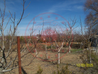 Konya Seydişehir Gökçehüyük Köyü Milli Emlak'tan Satılık 395,97 m2 Tarla