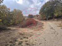 Balıkesir Karesi Armutalan Köyü Milli Emlak'tan Satılık 860,67 m2 Tarla