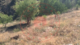 Çankırı Korgun İkiçam Köyü Milli Emlak'tan Satılık 500,00 m2 Tarla