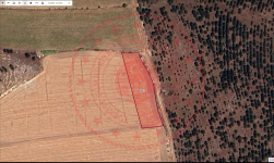 Amasya Merkez Sıracevizler Köyü Milli Emlak'tan Satılık 2.451,42 m2 Tarla