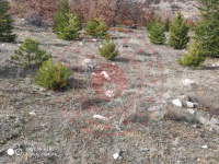 Konya Meram Kayalı Köyü Milli Emlak'tan Satılık 4.020,28 m2 Arsa