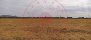 Kırşehir Merkez Yenice Mahallesi Milli Emlak'tan Satılık 1.030,00 m2 Arsa