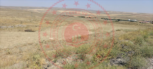 Ankara Bala Yaylalıözü Köyü Milli Emlak'tan Satılık 814,00 m2 Tarla