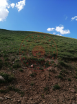 Erzurum İspir Karakaya Köyü Milli Emlak'tan Satılık 7.224,00 m2 Tarla