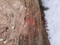 Karaman Ermenek Görmeli Köyü Milli Emlak'tan Satılık 3.255,21 m2 Tarla