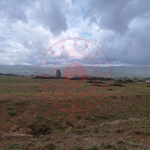 Kırıkkale Merkez Pazarcık Köyü Milli Emlak'tan Satılık 1.000,00 m2 Tarla