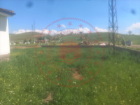 Kırıkkale Sulakyurt Sarımbey Köyü Milli Emlak'tan Satılık 1.062,29 m2 Tarla