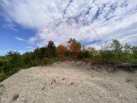 Zonguldak Ereğli Abdi Köyü Milli Emlak'tan Satılık 2.018,52 m2 Tarla