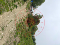 Zonguldak Ereğli Keşkek Köyü Milli Emlak'tan Satılık 833,08 m2 Tarla