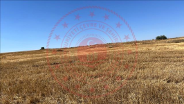 Çorum Alaca Büyükhırka Köyü Milli Emlak'tan Satılık 3.000,00 m2 Tarla