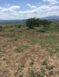 Burdur Merkez Çallıca (Eğneş) Köyü Milli Emlak'tan Satılık 19.942,35 m2 Tarla