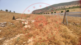 Mardin Artuklu Yayla Köyü Milli Emlak'tan Satılık 826,00 m2 Tarla