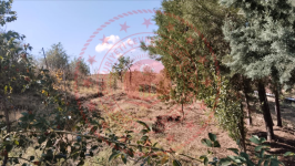 Çorum Merkez Kınık Köyü Milli Emlak'tan Satılık 592,60 m2 Tarla