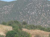 Amasya Merkez Musa Köyü Milli Emlak'tan Satılık 4.079,72 m2 Tarla