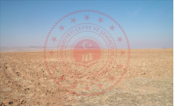 Konya Altınekin Koçyaka Köyü Milli Emlak'tan Satılık 12.328,72 m2 Tarla