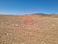 Kırşehir Merkez Karalar Köyü Milli Emlak'tan Satılık 10.976,24 m2 Tarla