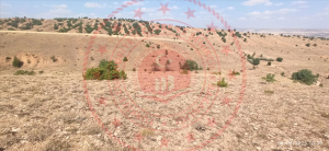 Kırıkkale Balışeyh Beyobası Köyü Milli Emlak'tan Satılık 8.517,30 m2 Tarla