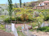 Kırıkkale Delice Halitli Köyü Milli Emlak'tan Satılık 147,25 m2 Tarla