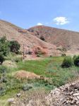 Bitlis Merkez Yolcular (Vervan) Köyü Milli Emlak'tan Satılık 4.088,10 m2 Tarla