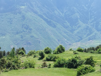 Artvin Ardanuç Sakarya Köyü Milli Emlak'tan Satılık 709,88 m2 Tarla