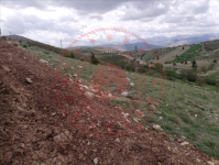 Kahramanmaraş Afşin Söğütdere Mahallesi Milli Emlak'tan Satılık 8.955,89 m2 Tarla