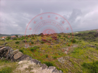 Nevşehir Gülşehir Eğrikuyu Köyü Milli Emlak'tan Satılık 865,94 m2 Tarla