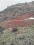 Bingöl Genç Yayla Köyü Milli Emlak'tan Satılık 1.166,39 m2 Tarla