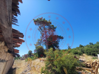 Muğla Menteşe Yaraş Köyü Milli Emlak'tan Satılık 1.051,05 m2 Arsa