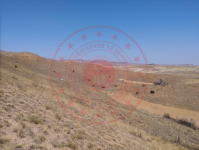 Kırıkkale Delice Şahçalı Köyü Milli Emlak'tan Satılık 2.242,00 m2 Tarla