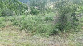 Balıkesir Kepsut Piyade Köyü Milli Emlak'tan Satılık 523,00 m2 Tarla