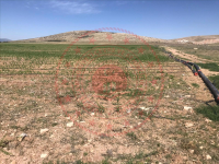 Karaman Merkez Mesudiye Köyü Milli Emlak'tan Satılık 3.648,75 m2 Tarla
