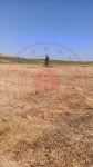 Tekirdağ Süleymanpaşa Taşomurca Köyü Milli Emlak'tan Satılık 658,60 m2 Tarla