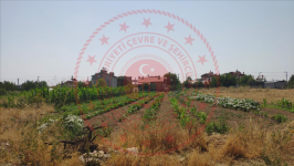 Konya Meram Alakova Mahallesi Milli Emlak'tan Satılık 1.235,11 m2 Arsa