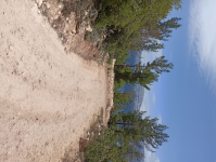 Karaman Ermenek Sarıvadi Köyü Milli Emlak'tan Satılık 1.050,20 m2 Tarla