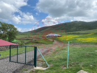 Bingöl Merkez Yaygınçayır Köyü Milli Emlak'tan Satılık 2.959,85 m2 Tarla
